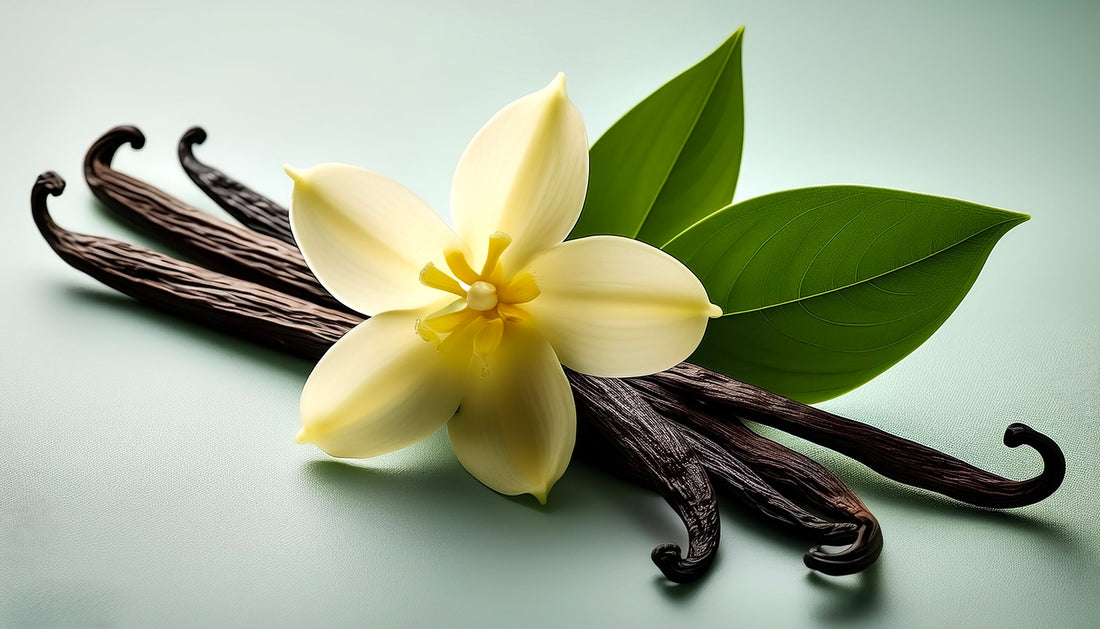 Glow Naturally: The Vitamin-Powered Benefits of Vanilla Beans for Your Skin
